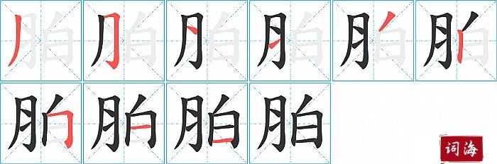 胉字怎么写图解