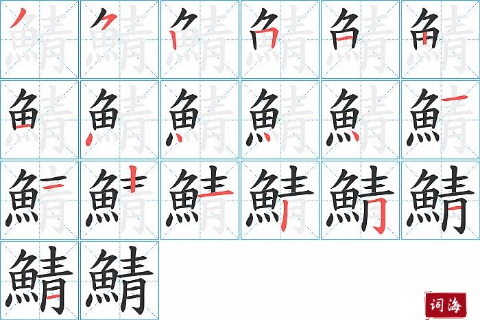 鯖字怎么写图解