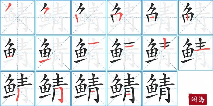 鲭字怎么写图解