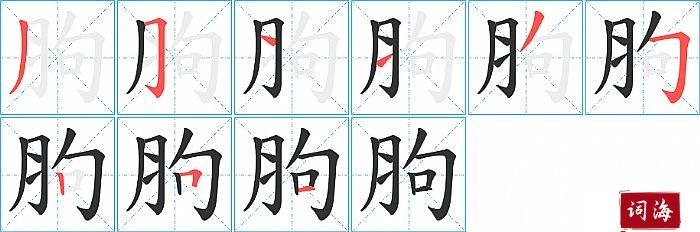 胊字怎么写图解