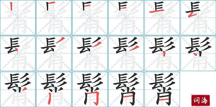 髾字怎么写图解