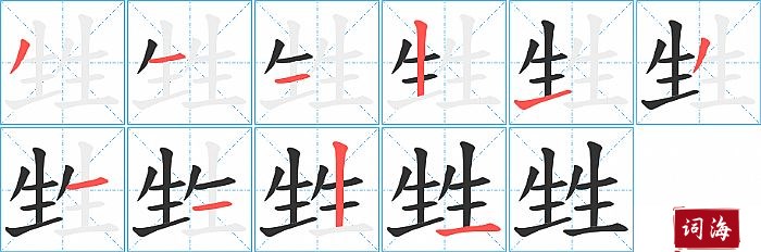 甡字怎么写图解