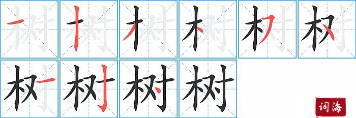 树字怎么写图解