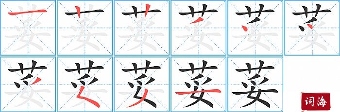 荽字怎么写图解