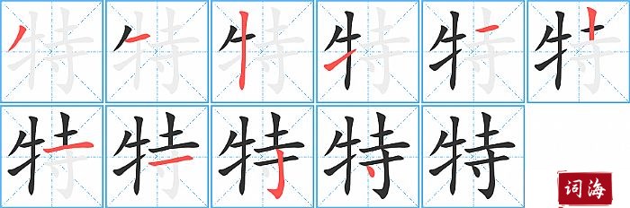 特字怎么写图解