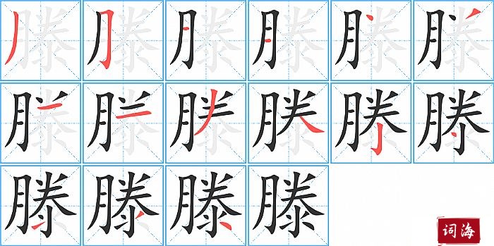滕字怎么写图解