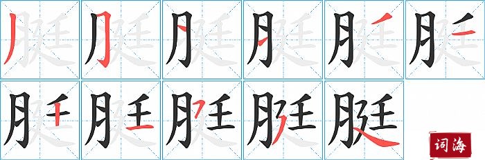 脡字怎么写图解