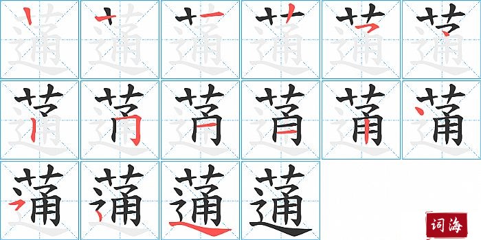 蓪字怎么写图解
