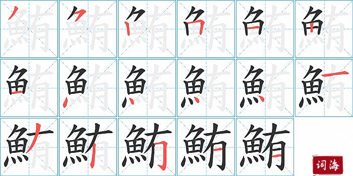 鮪字怎么写图解