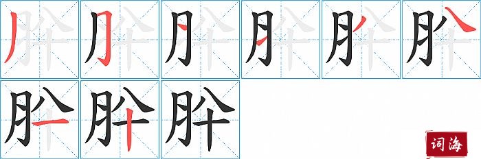 肸字怎么写图解