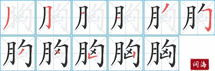胸字怎么写图解