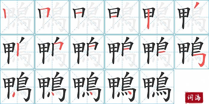 鴨字怎么写图解