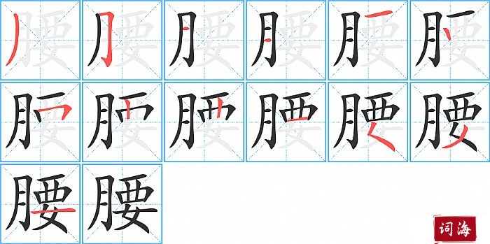 腰字怎么写图解