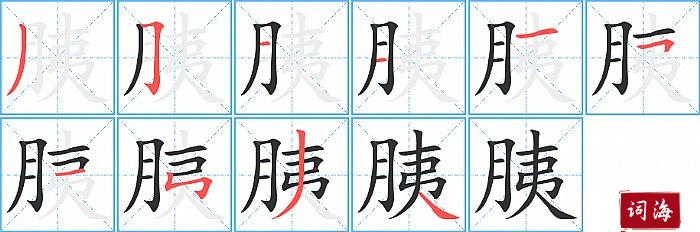 胰字怎么写图解