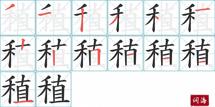 稙字怎么写图解