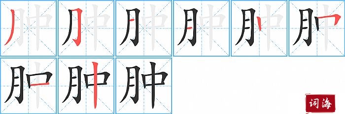肿字怎么写图解