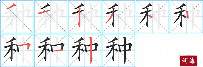 种字怎么写图解