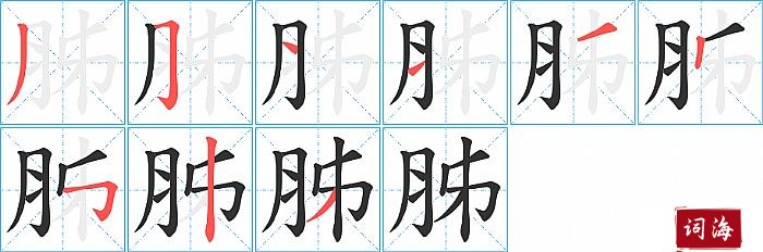 胏字怎么写图解