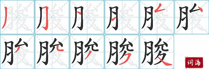 脧字怎么写图解