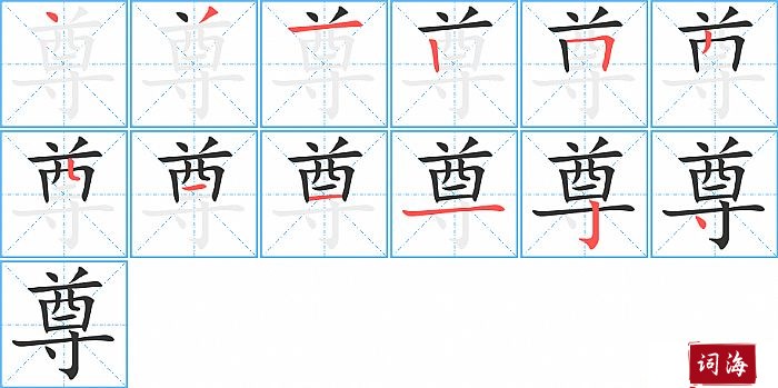 尊字怎么写图解